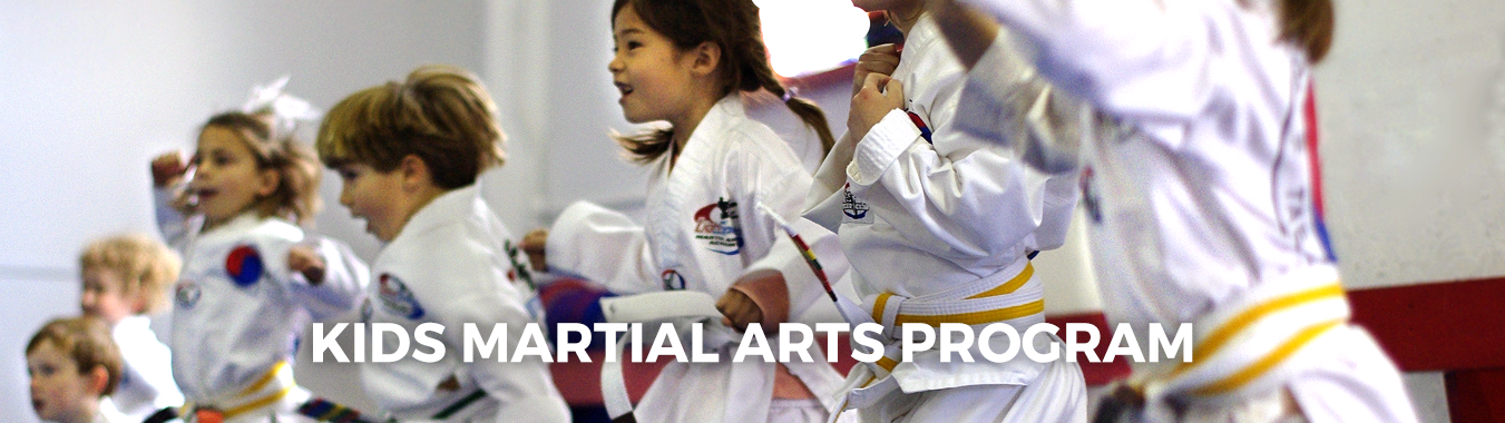 Details about   3 Swooper Flags Karate Lessons Martial Arts & Summer Camp Now OPEN 